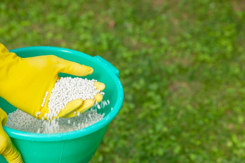 lawn fertilizer services