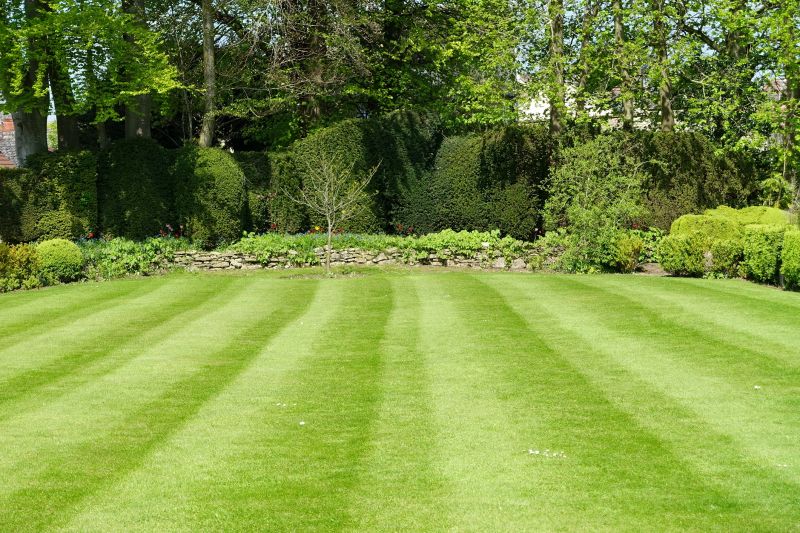 Spring Lawn Recovery